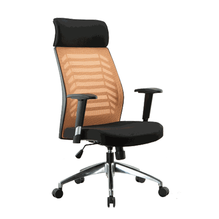 Belini Series