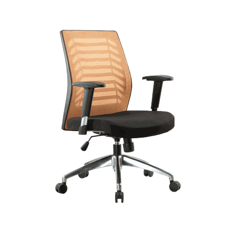 Belini Series