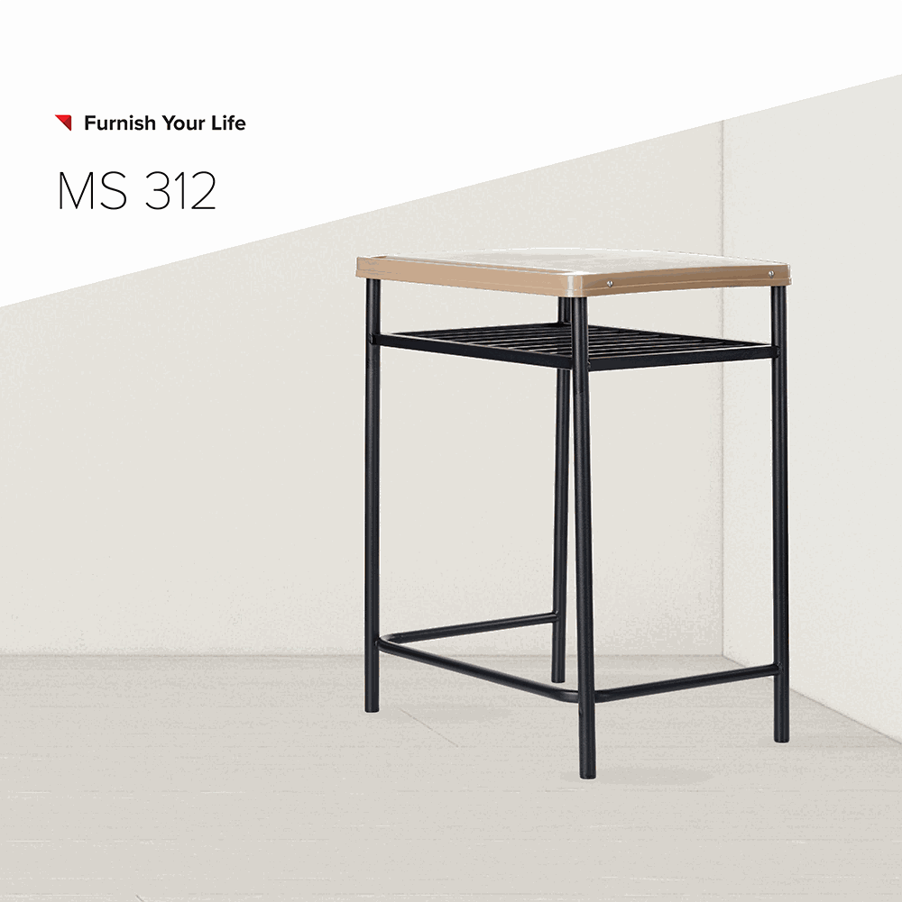 MS312