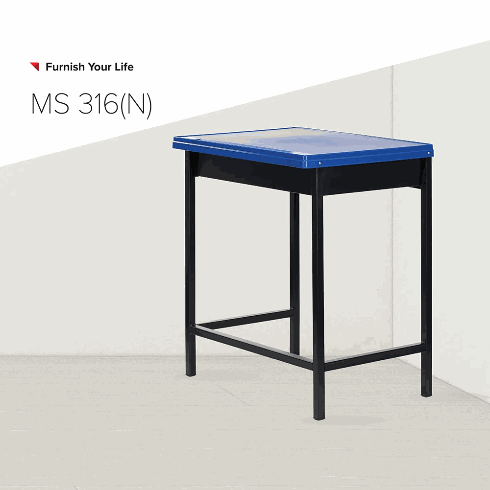 MS316(N)