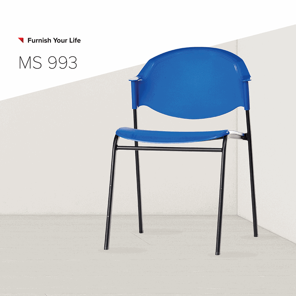 MS993